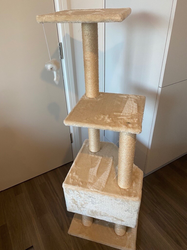 gumtree cat tree